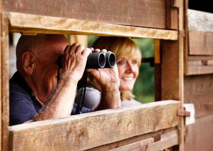 Bird watching holiday Hunstanton Norfolk