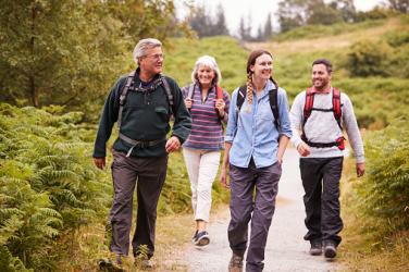 group walk in forest