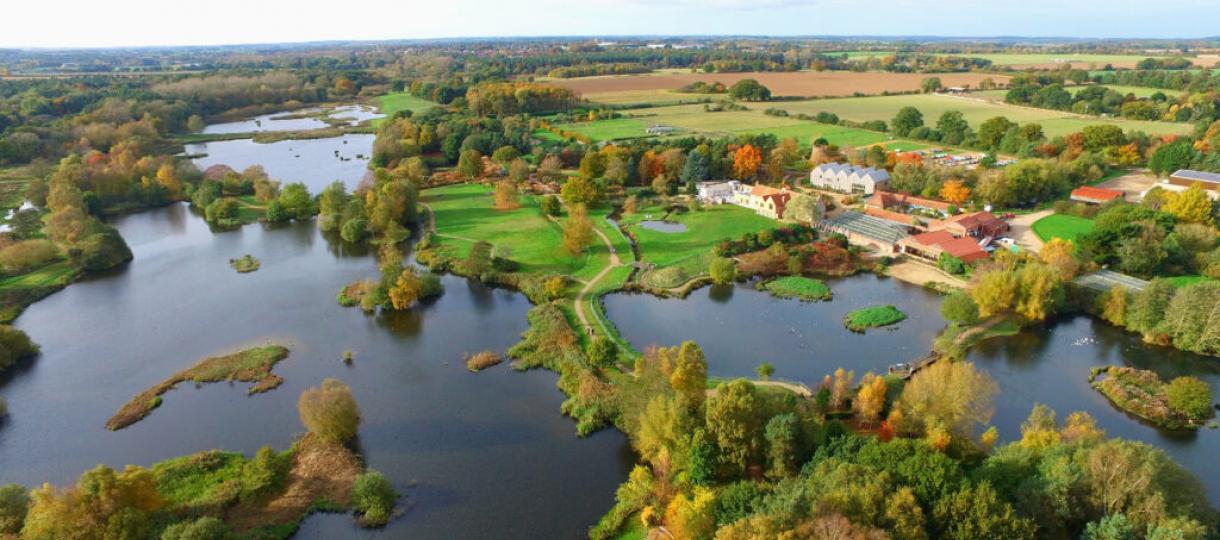 Pensthorpe